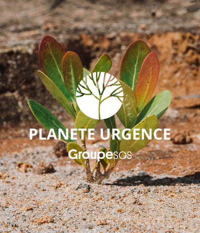 1 euro = 1 arbre planté